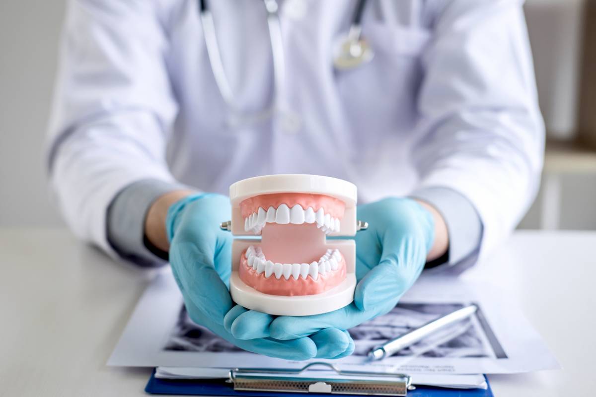 A doctor is holding a detailed model of a tooth, demonstrating dental anatomy and care in a clinical setting.